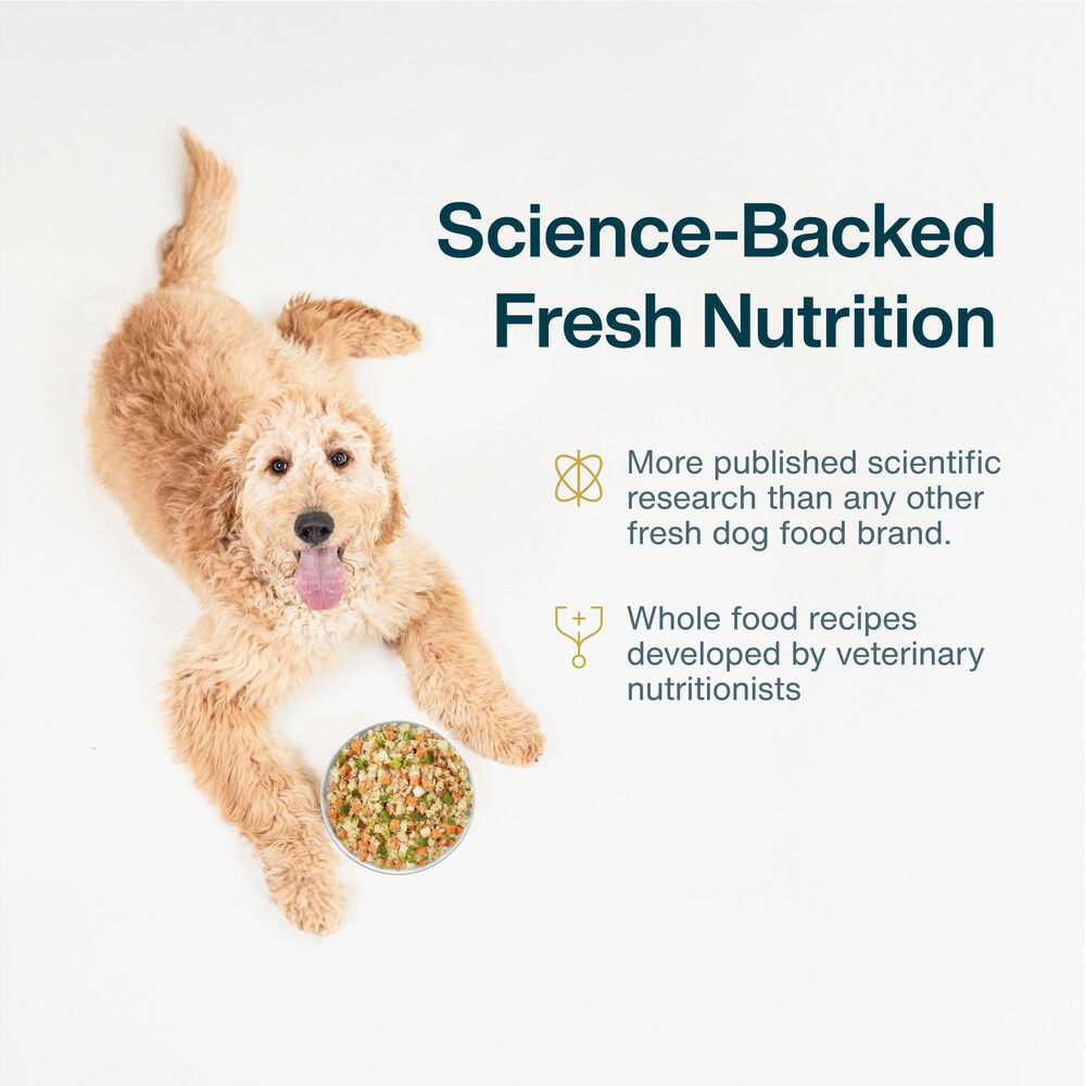 Pantry Fresh - Variety Pack (8  Pack)